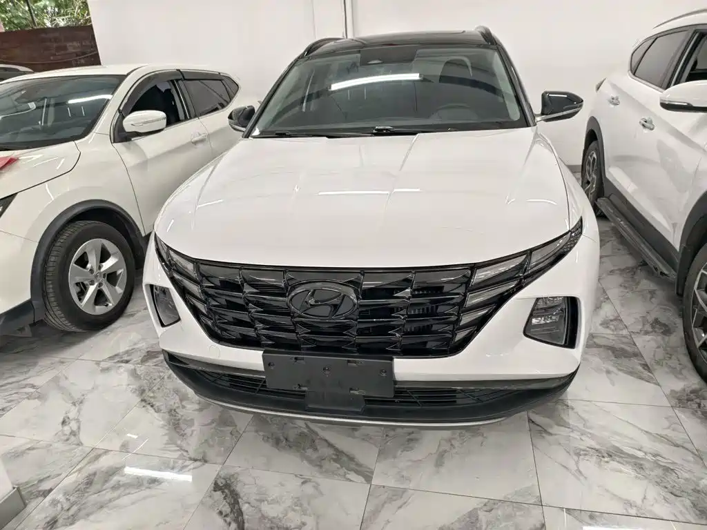 Hyundai Tucson 2023 2023 Tucson L 1.5T Automatic 2WD DLX Luxury Edition