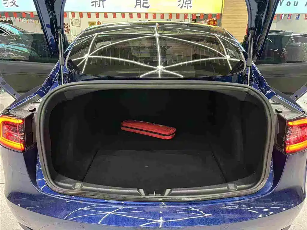Tesla Model 3 (Import) 2019 2019 Long Range All-Wheel Drive Edition