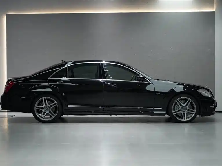 Mercedes-Benz S-Class AMG 2010 AMG S 65 фото 5