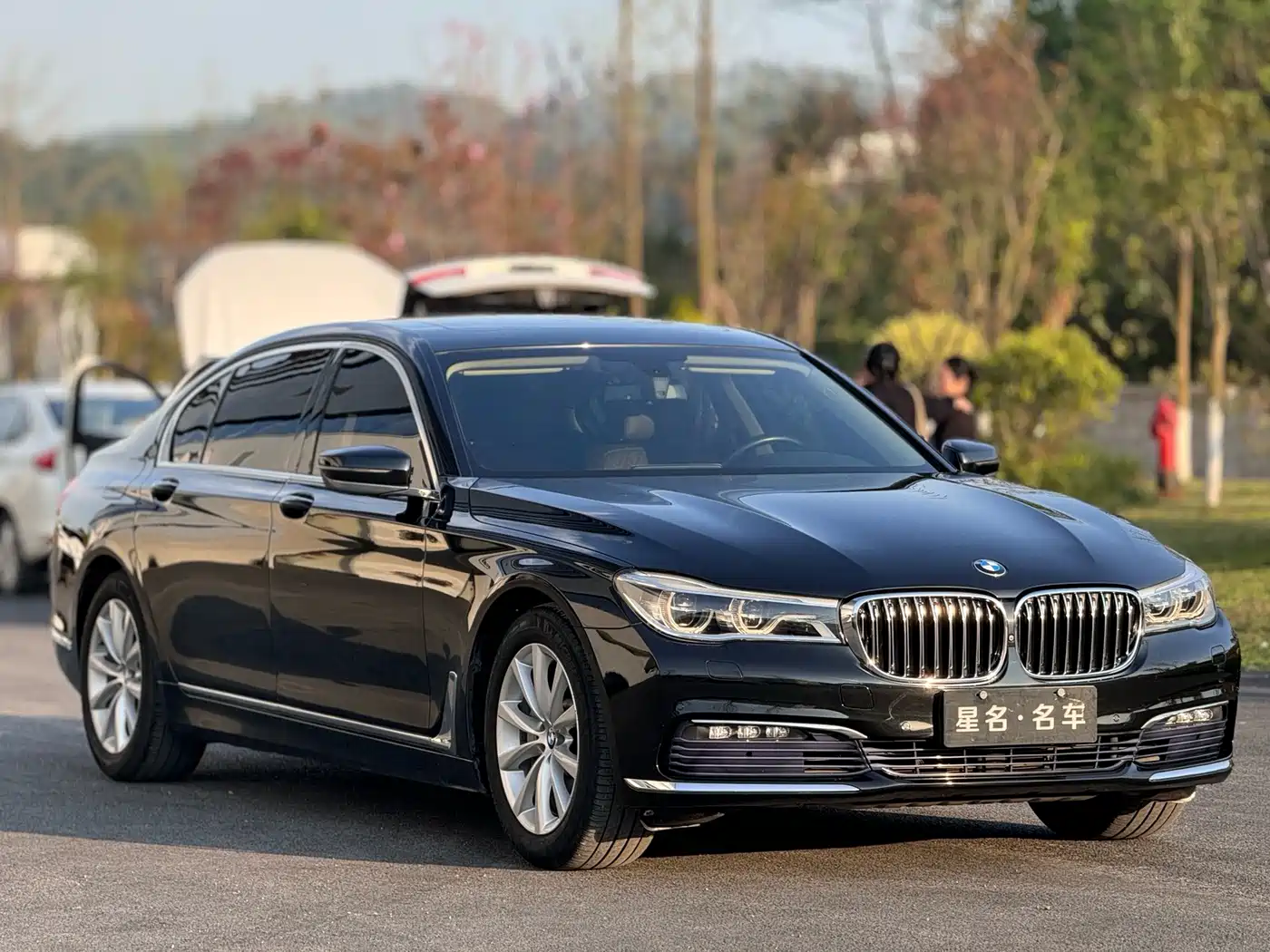 BMW 7 Series 2017 730Li Luxury Edition фото 13