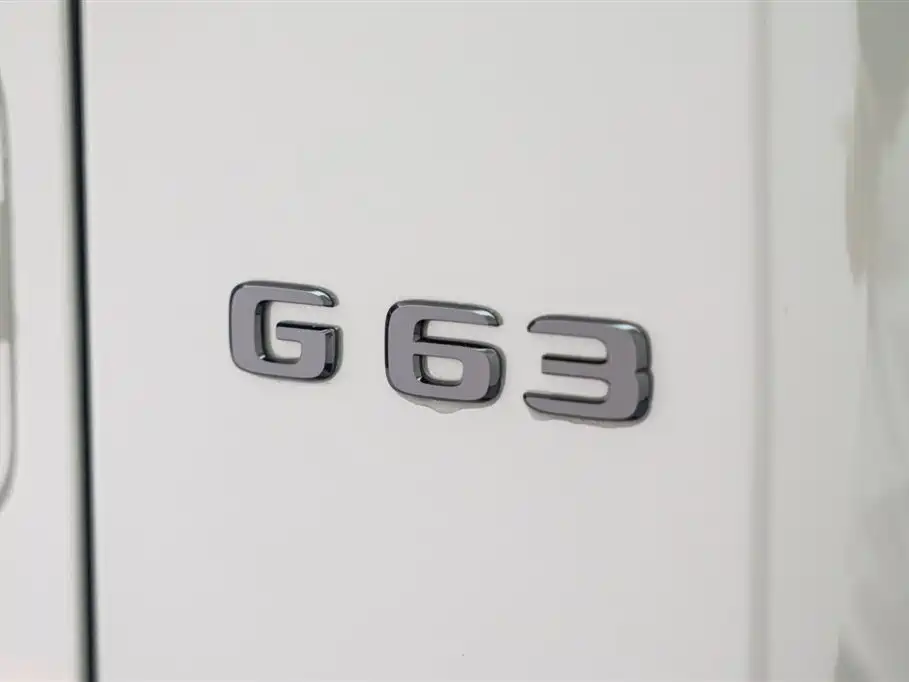 Mercedes-Benz G-Class AMG фото 29