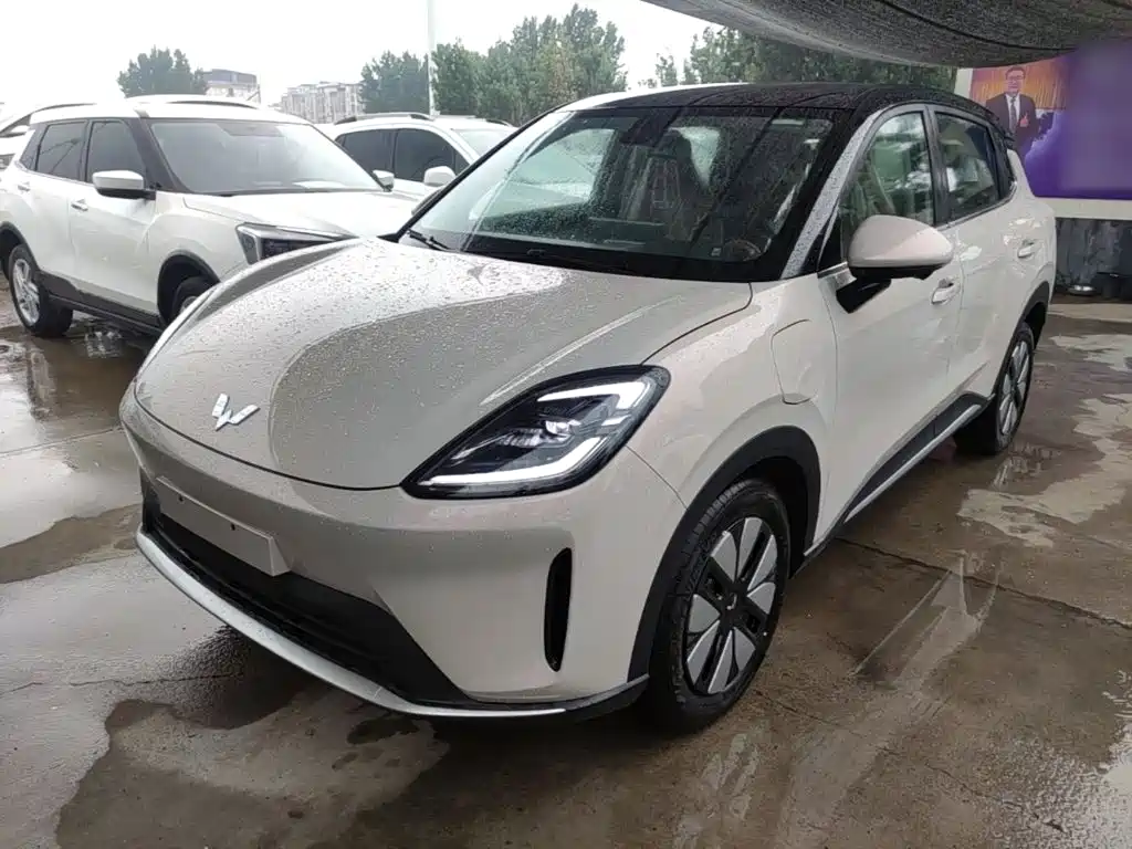 Wuling Motors Wuling Bingo S 2025 Model 430km Premium Edition