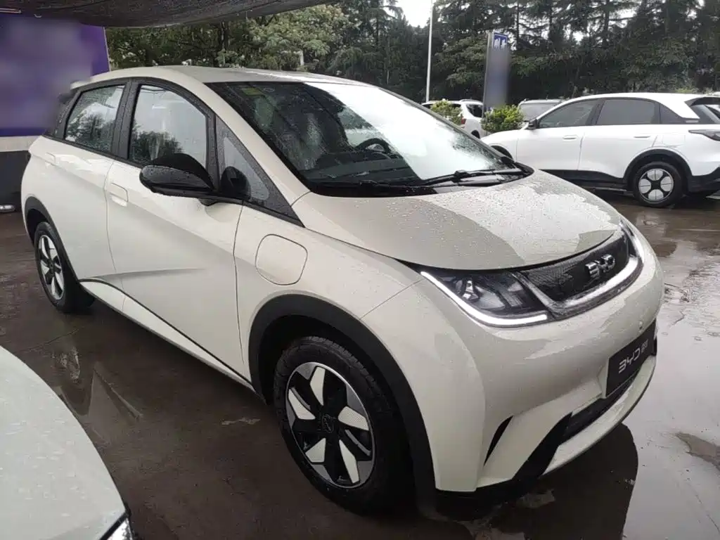 BYD Dolphin 2026 2025 420km Freedom Edition