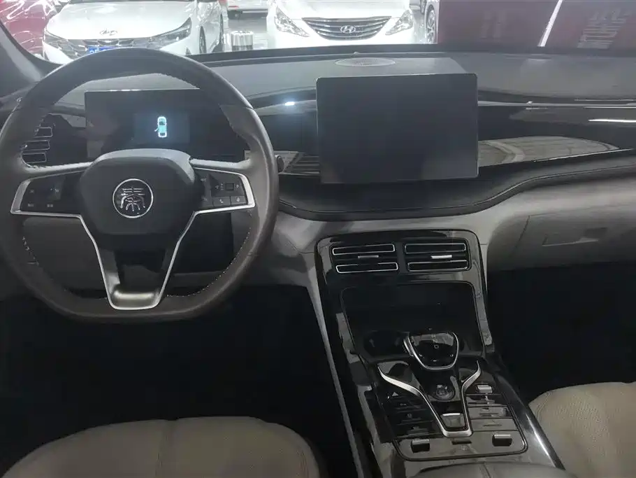 BYD Qin PLUS 2024 Glory Edition DM-i 55KM Leading фото 12