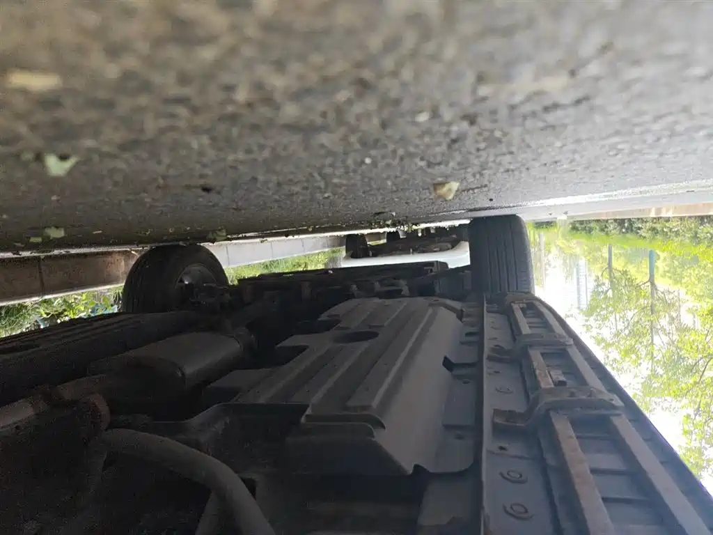 Haval Big Dog 2022 1.5T DCT FWD Border Collie Edition фото 20