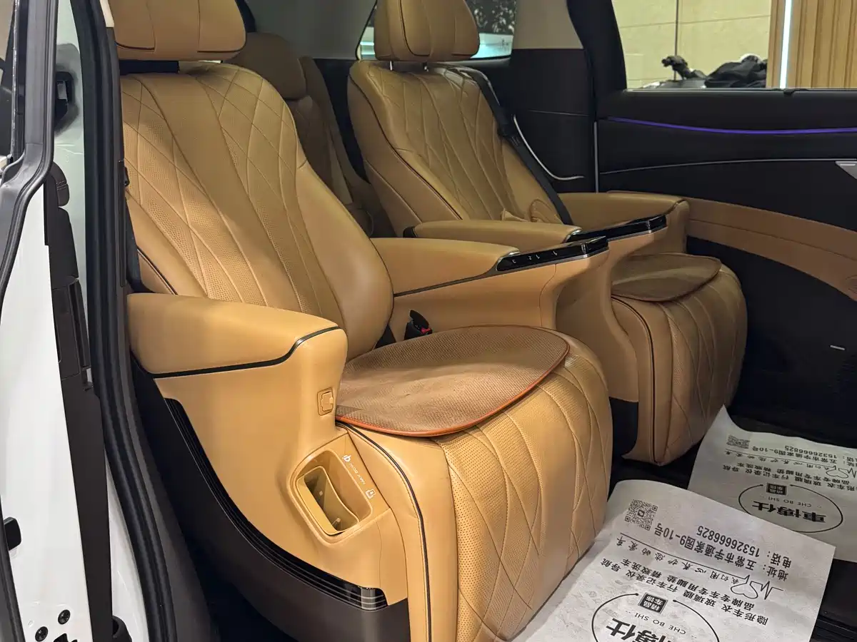 Denza D9 2024 DM-i 980 AWD Prestige фото 19