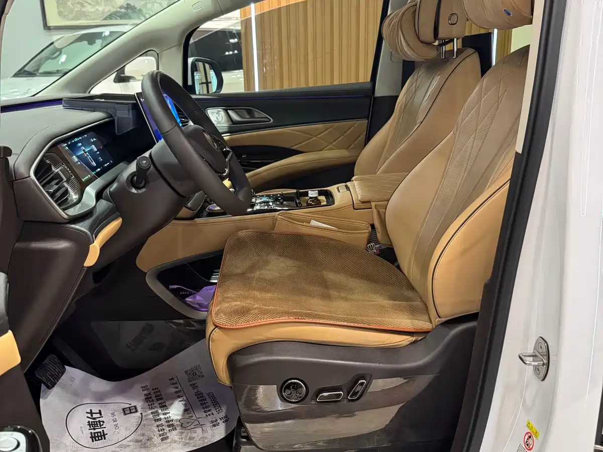 Denza D9 2024 DM-i 980 AWD Prestige фото 9