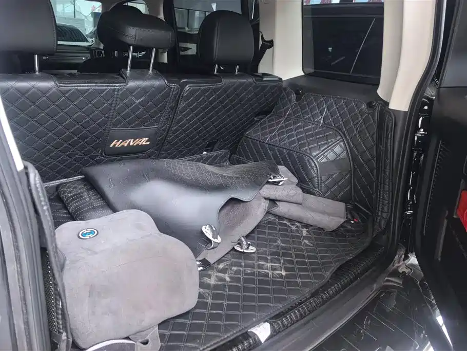 Haval Meng Long NEV 2024 Hi4 145 Pro фото 4