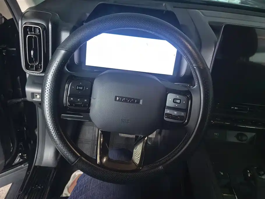 Haval Meng Long NEV 2024 Hi4 145 Pro фото 15