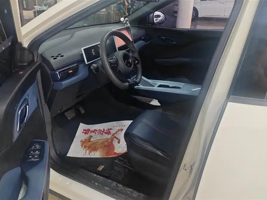 BYD Seagull 2024 Glory Edition 305km Vitality Edition фото 9
