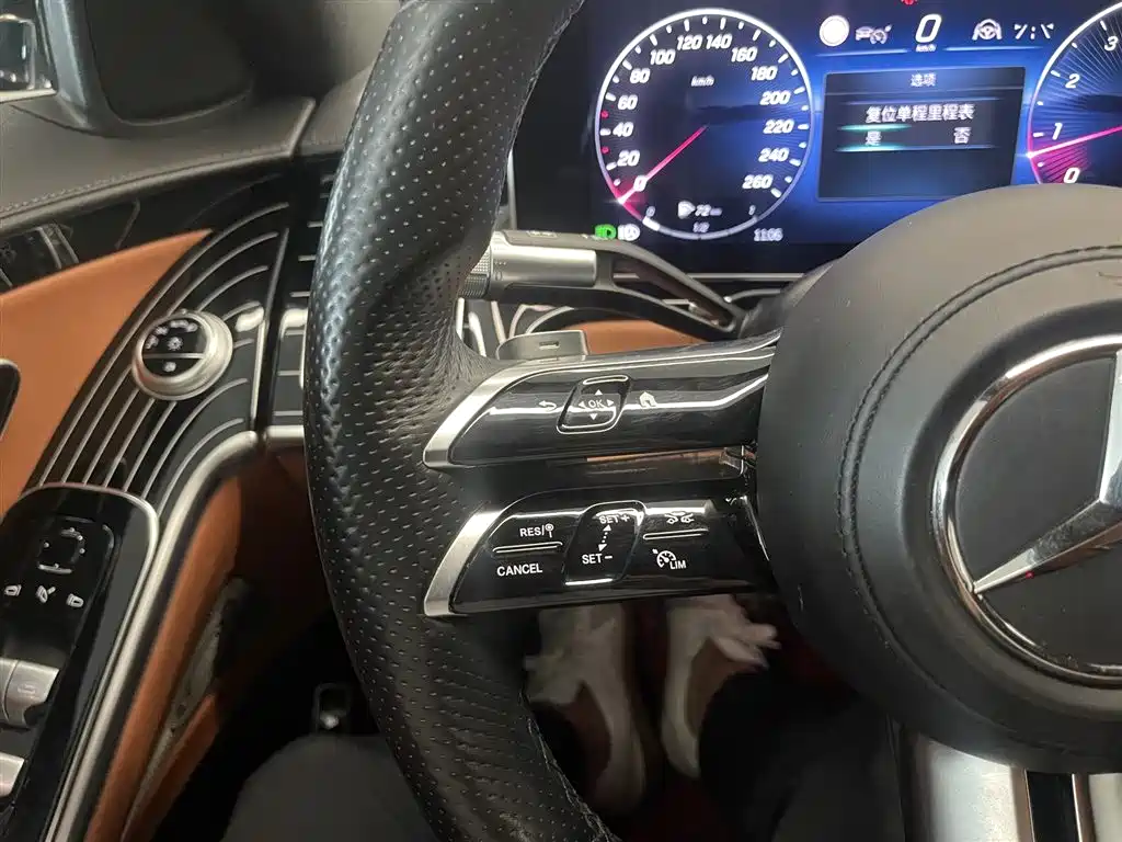 Mercedes-Benz S-Class 2022 S 450 L 4MATIC фото 21