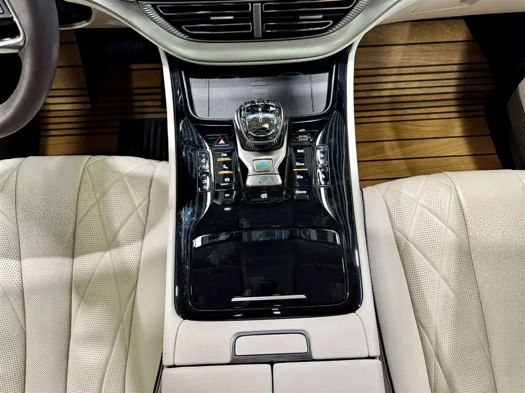 Denza D9 2024 DM-i 980 AWD Prestige фото 19