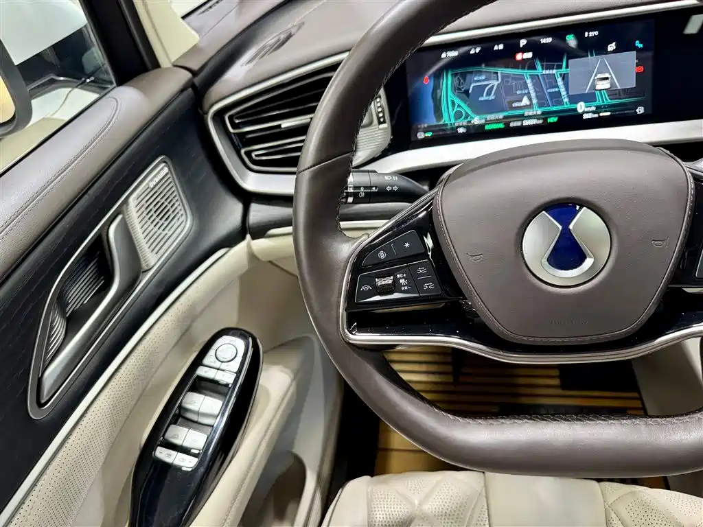 Denza D9 2024 DM-i 980 AWD Prestige фото 20
