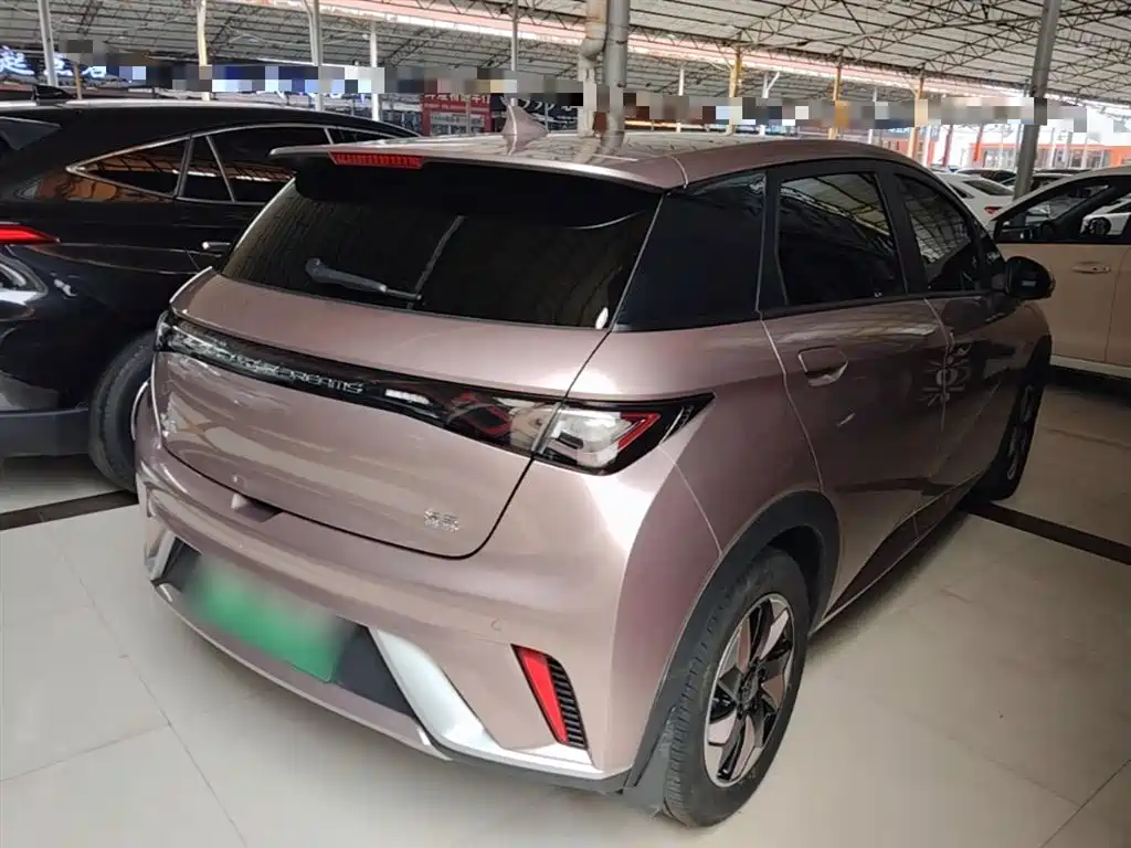 BYD Dolphin 2025 420km Fashion Edition фото 5