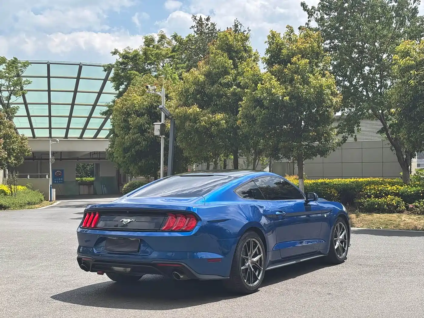 Фото 5 - Ford Mustang