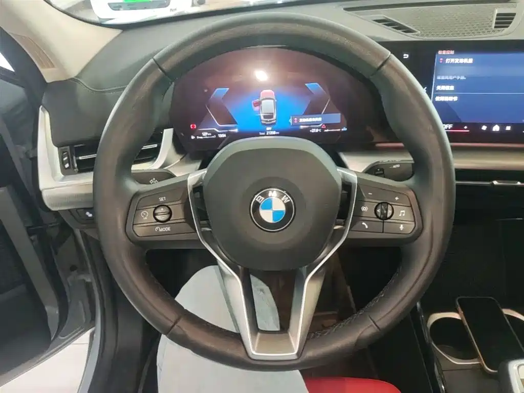 BMW X2 (Import) 2024 sDrive25i M Sport Package фото 11