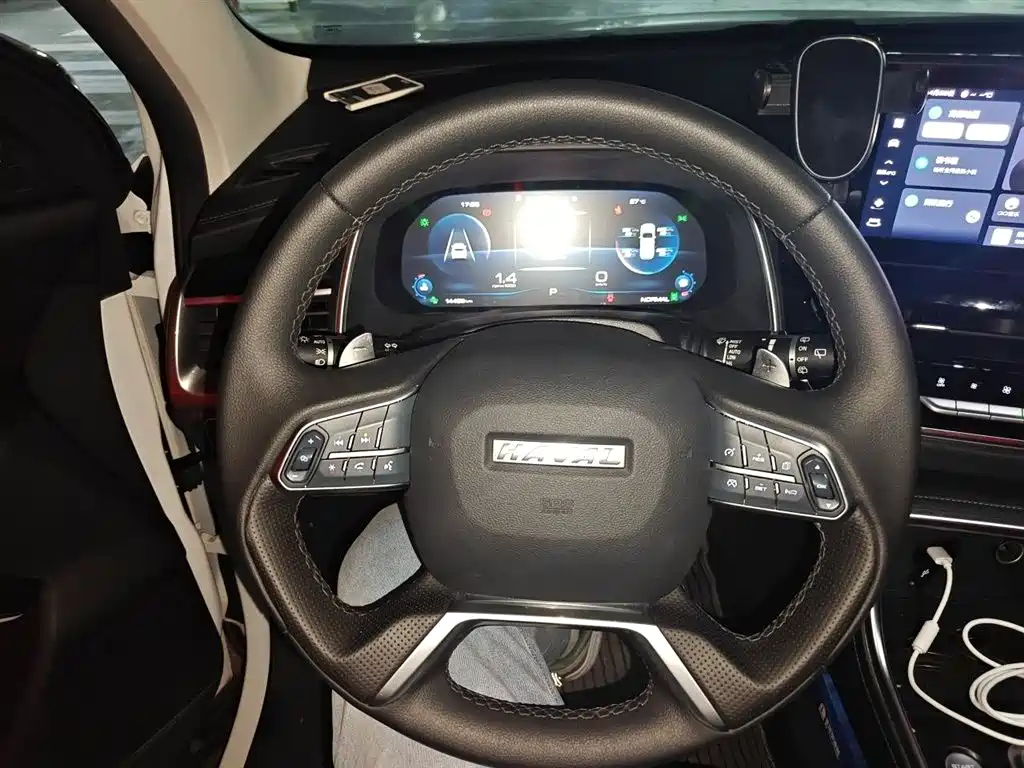 Haval H6 2023 National Trend Edition 1.5T Automatic Champion фото 4