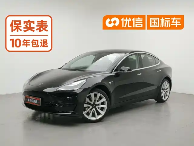 Tesla Model 3 2019 Standard Range Rear-Wheel Drive Upgrade — фото 1