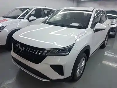 Wuling Alvez