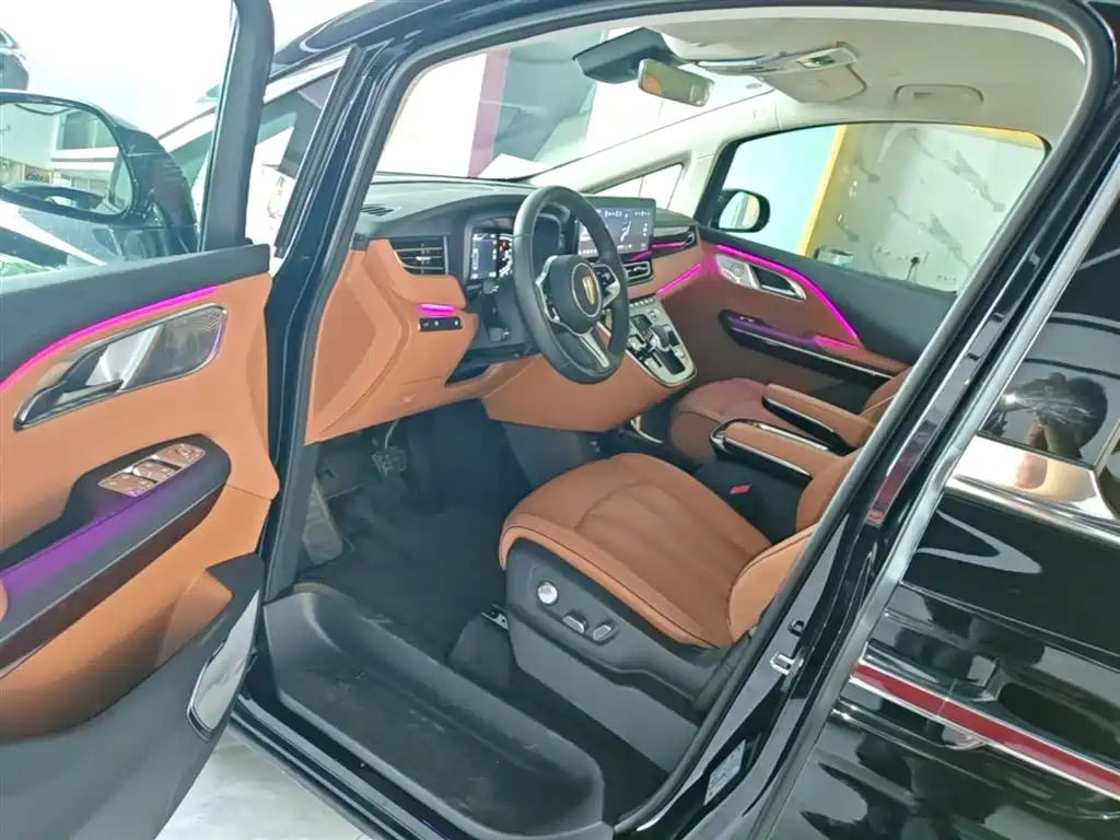 Hongqi HQ9 PHEV 2024 Model 2.0T AWD Luxury Edition фото 16