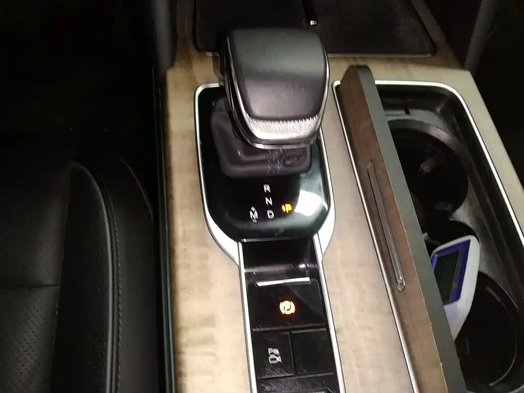 Photo 10 - Hongqi HS7