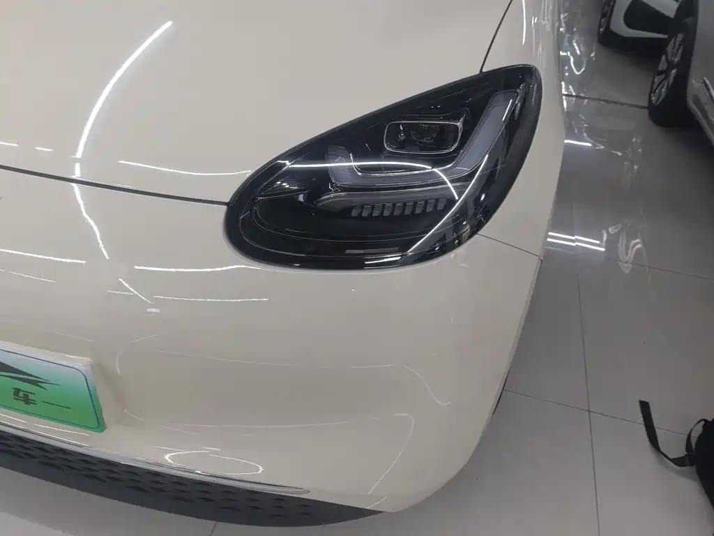 Wuling Motors Wuling Bingo 2026 2025 Model 333km Joy Edition
