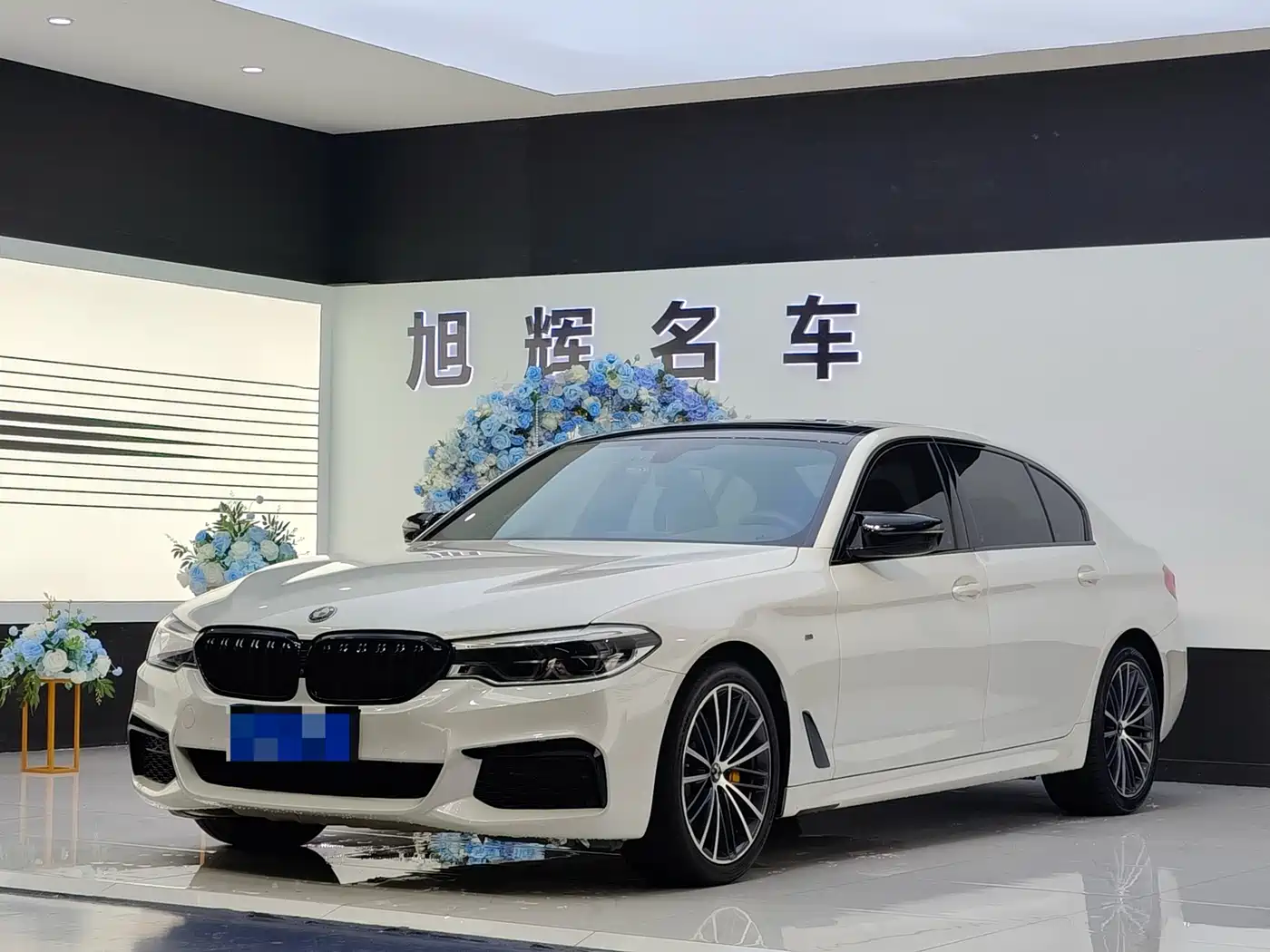 BMW 5 Series 2020 530Li Leading M Sport Package