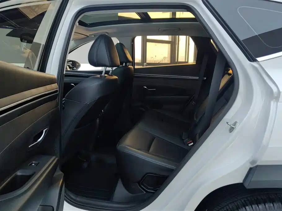 Hyundai Tucson 2024 2023 Tucson L 1.5T Automatic 2WD DLX Luxury Edition