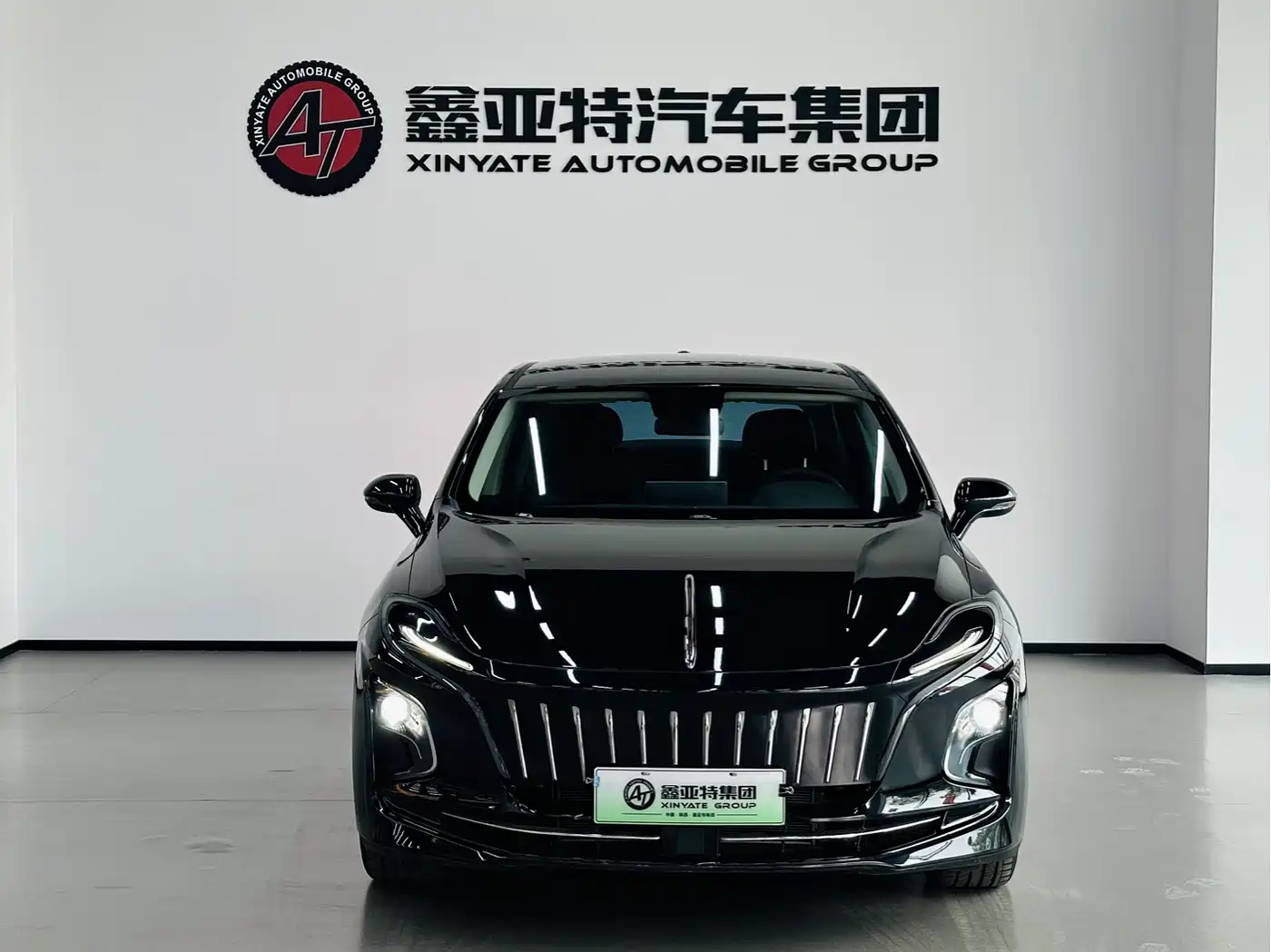 Hongqi HONGQI E QM5