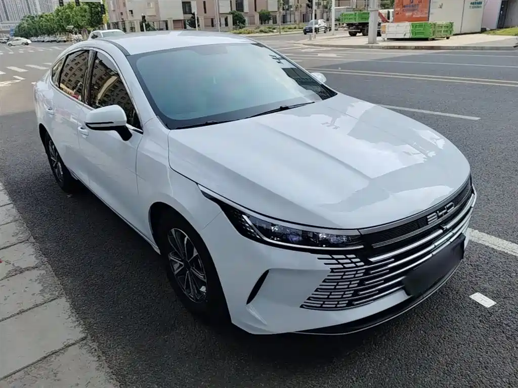 BYD Destroyer 05 2024 Glory Edition DM-i 55KM Luxury фото 4