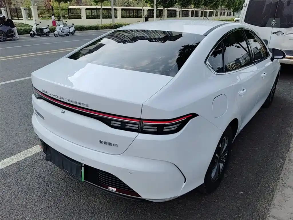 BYD Destroyer 05 2024 Glory Edition DM-i 55KM Luxury фото 7