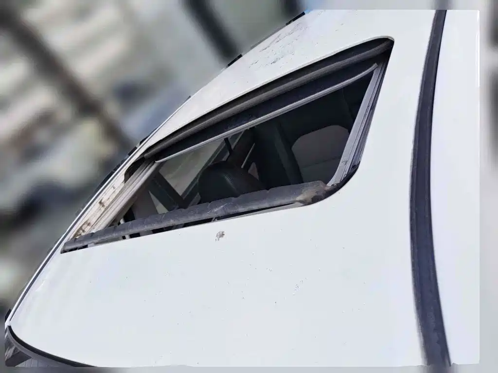 Фото 6 - Geely Vision