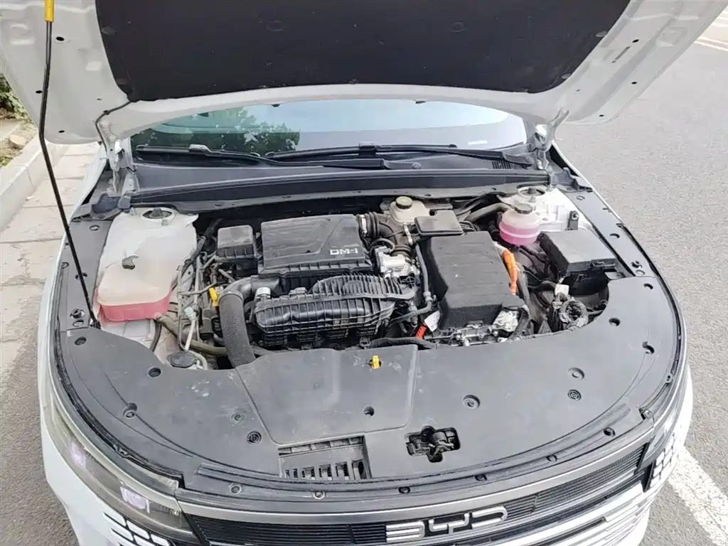 BYD Destroyer 05 2024 Glory Edition DM-i 55KM Luxury фото 20