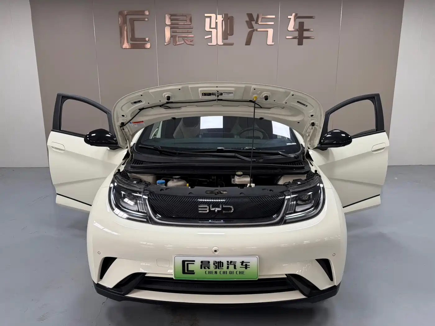 BYD Dolphin 2024 Glory Edition 420km Fashion Edition фото 15