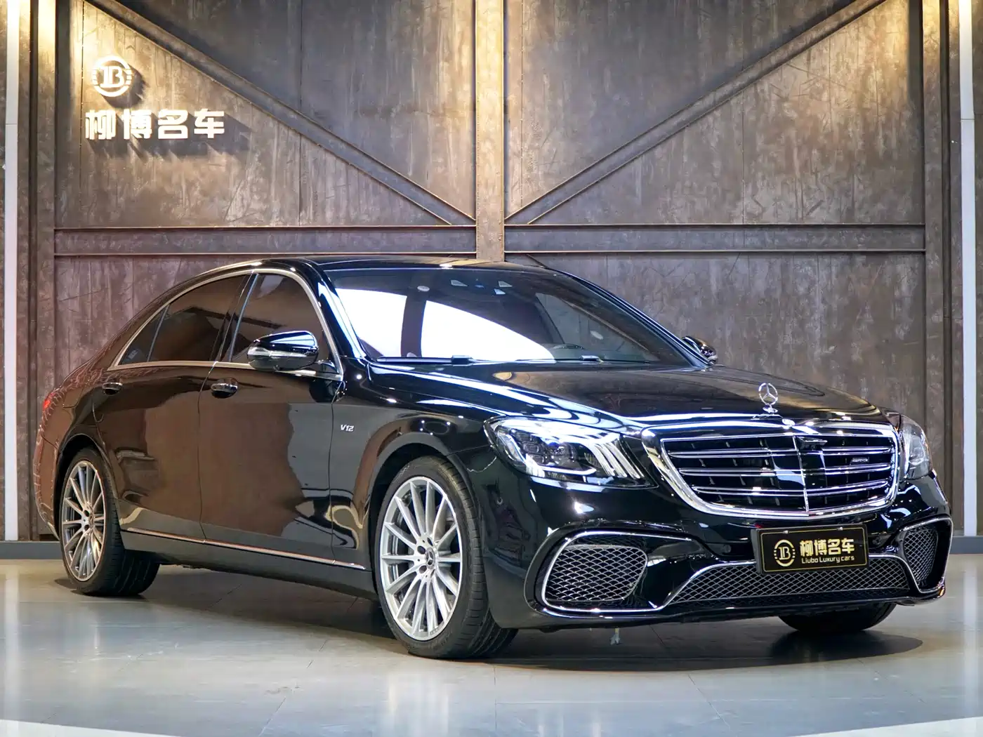 Mercedes-Benz S-Class 2014 S 600 L фото 6