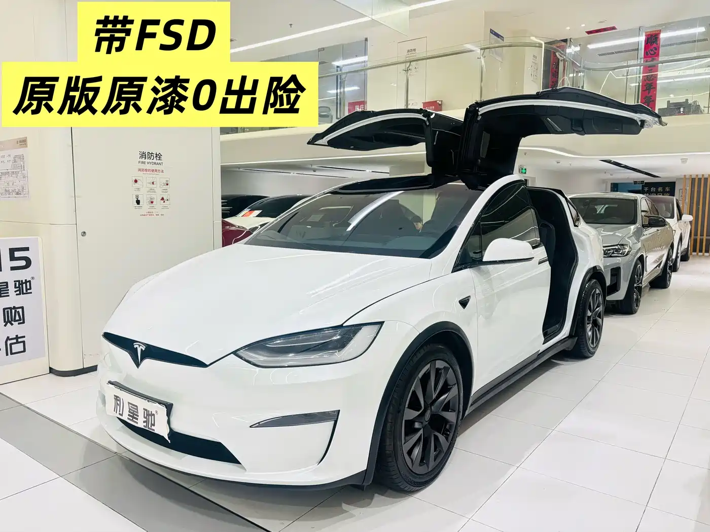 Tesla Model X 2023 Dual Motor All-Wheel Drive Edition