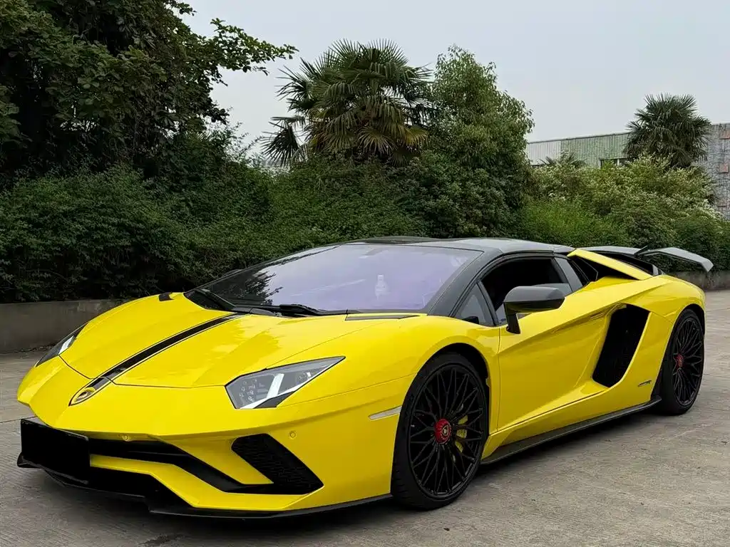 Lamborghini Aventador 2018 Aventador S Roadster фото 10