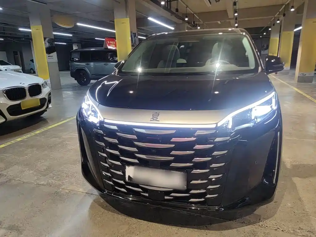 BYD Xia 2025 2025 DM-i 1.5T 180km Excellence