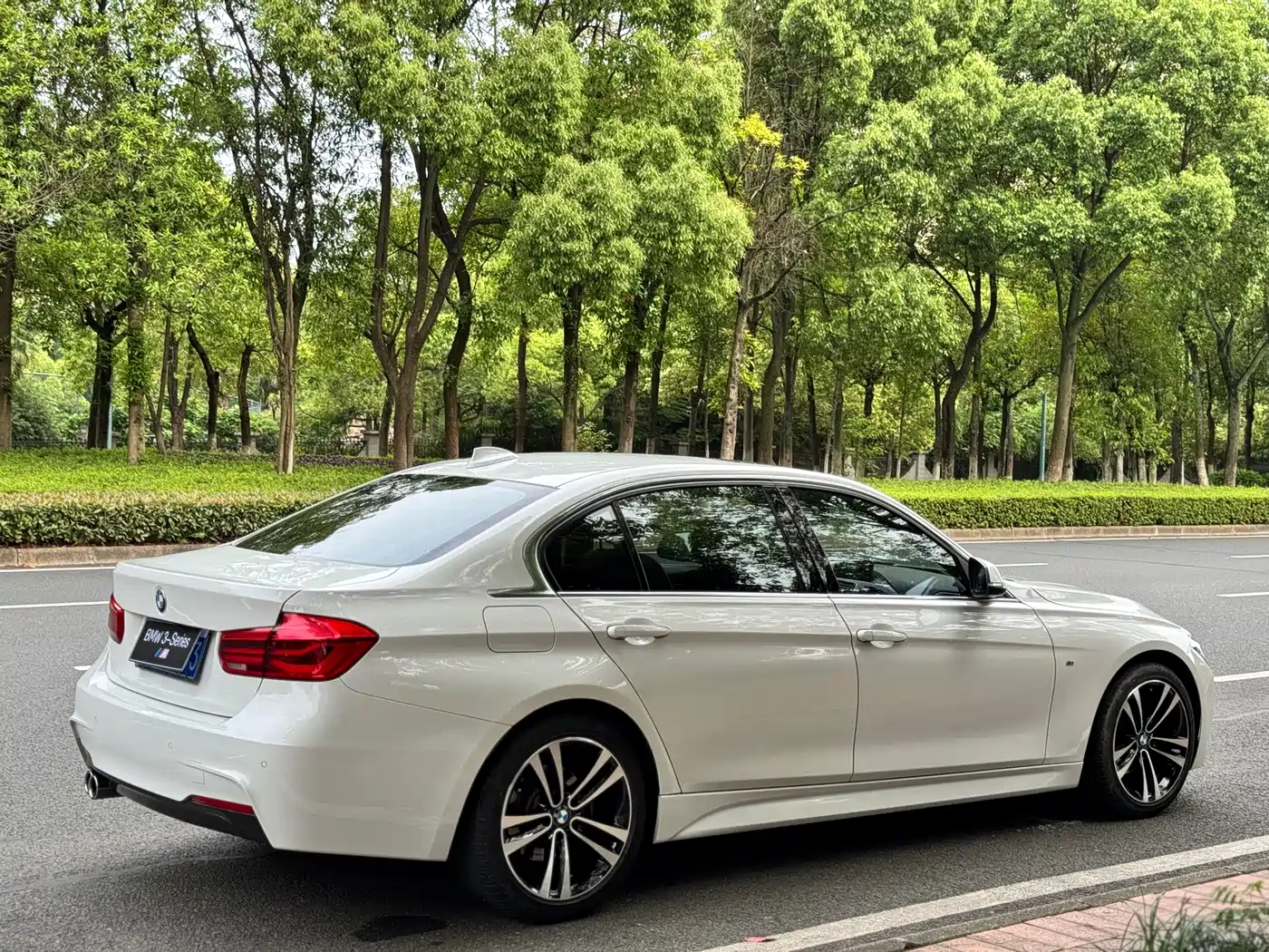 BMW 3 Series 2019 320Li M Luxury Package фото 7