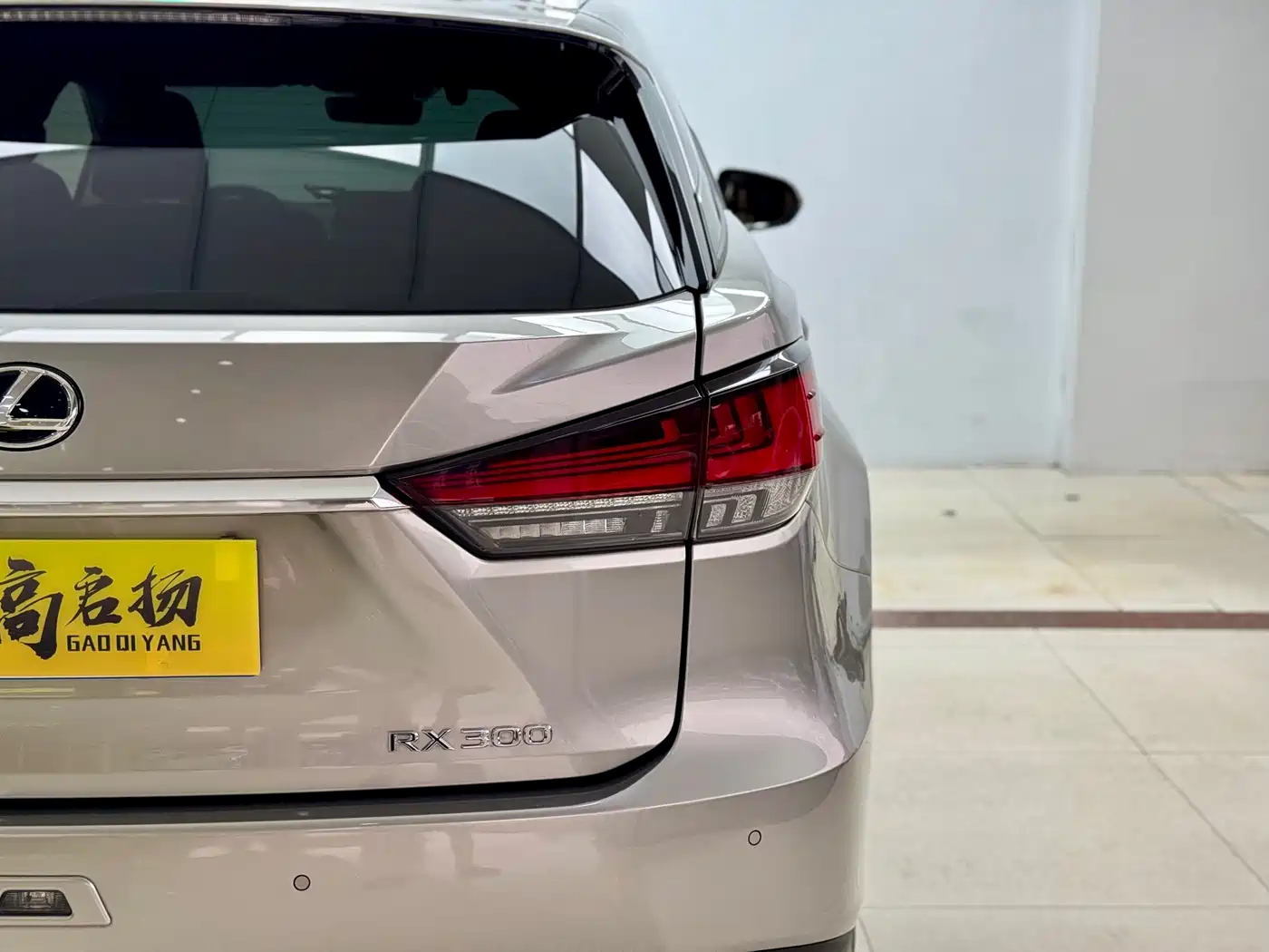 Lexus RX 2020 300 4WD Elegance Edition China VI фото 25