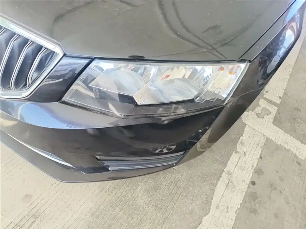 Škoda Octavia 2017 1.6L Automatic Pioneer Edition фото 24
