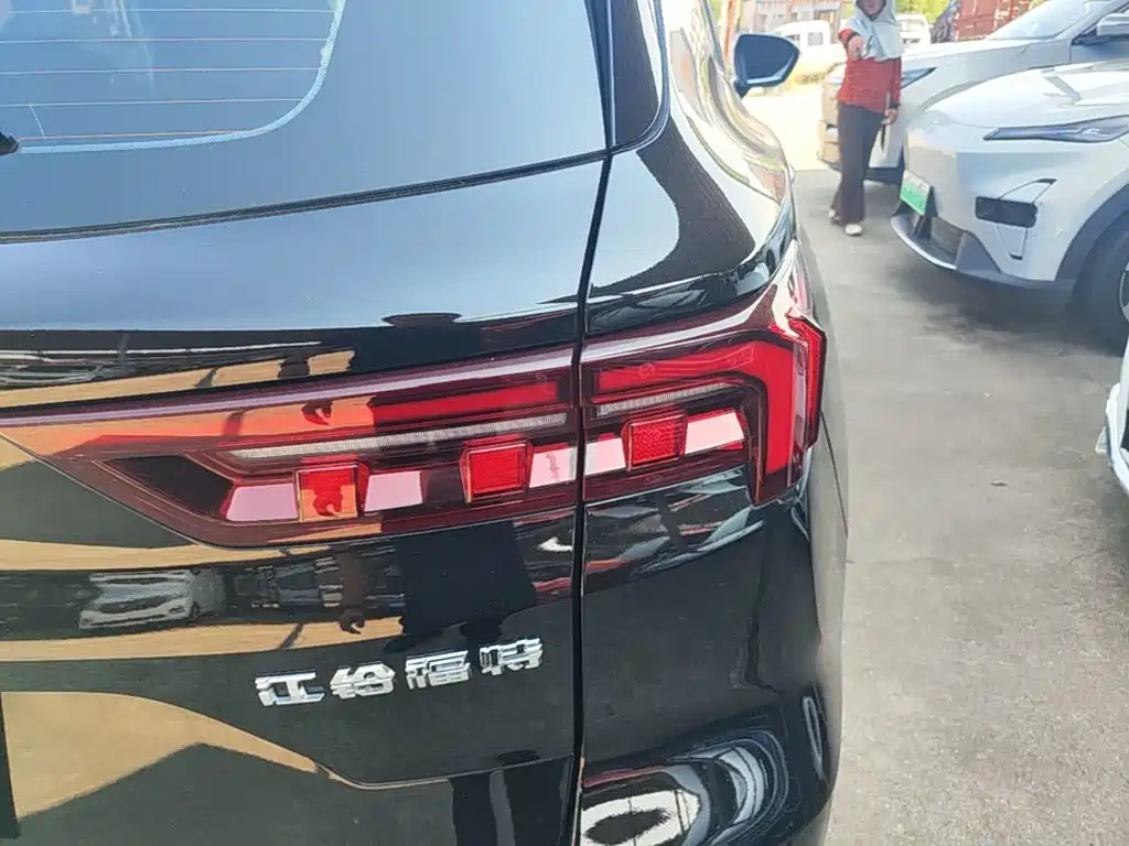 Ford Lingrui 2025 2025 EcoBoost 170 Platinum