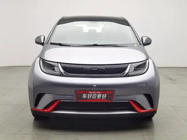BYD Dolphin 2021 Model 405km Fashion Edition — фото 3
