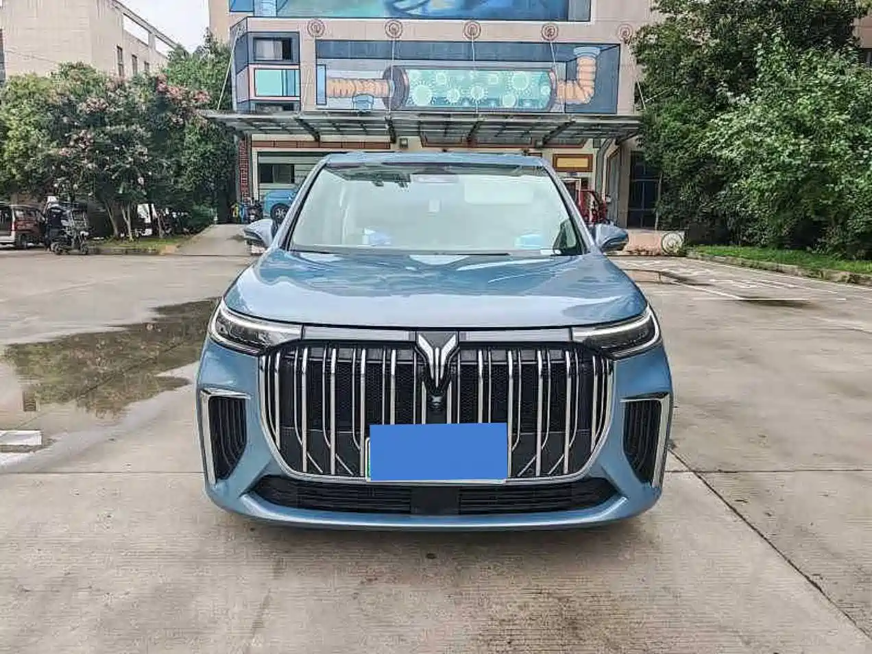 Voyah Dreamer 2022 2022 Low-carbon Dream+Smart Package
