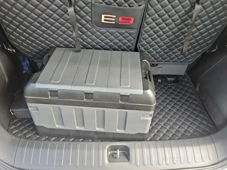 GAC Trumpchi Trumpchi E9 2024 2023 E9 PRO