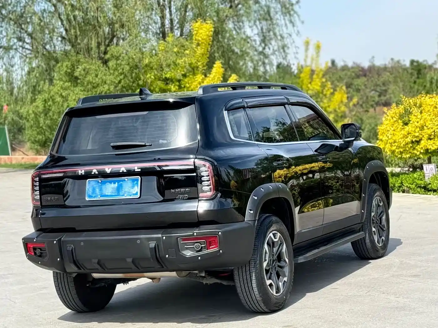 Haval Big Dog 2024 2.0T DCT Chinese Rural Dog Edition фото 9