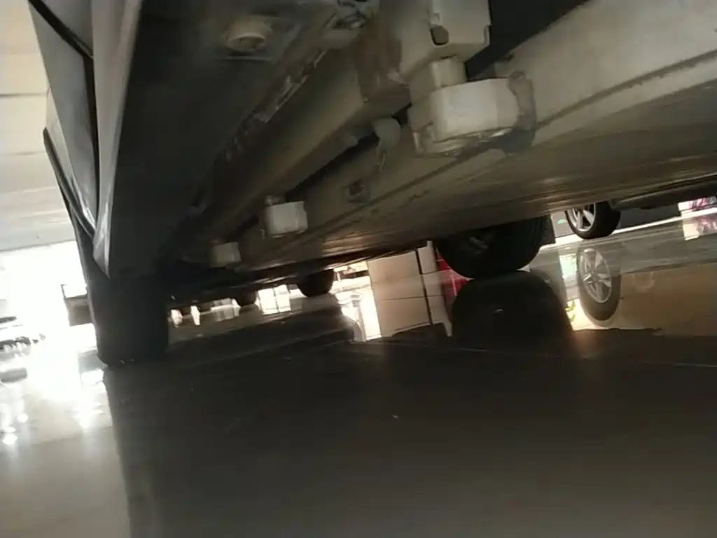 BYD Yuan New Energy 2020 2019 EV535 Smart Connected Trend Leader Type