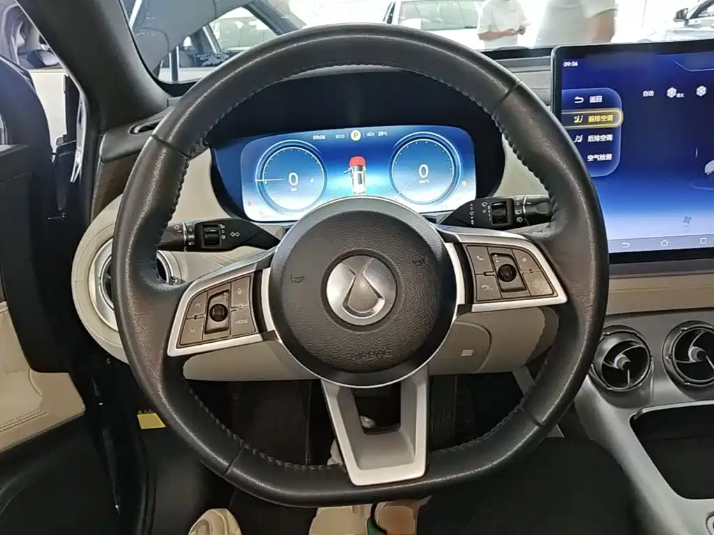 Denza X 2021 2020 Model PHEV Flagship Edition