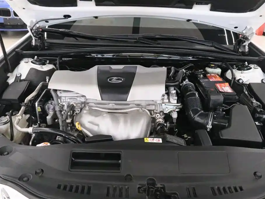 Lexus ES 2018 200 Excellence Edition China V фото 21