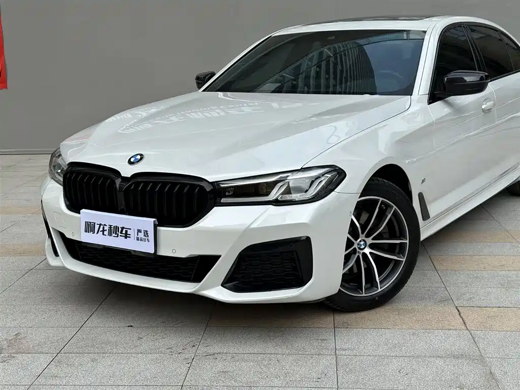 BMW 5 Series 2021 525Li M Sport Package фото 19